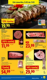 Lidl gazetka Strona 43
