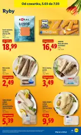 Lidl gazetka Strona 47