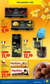 Lidl gazetka Strona 49