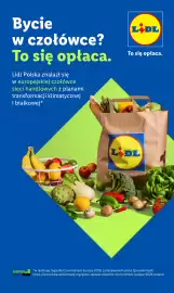 Lidl gazetka Strona 73