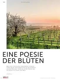 Weinwelt Interspar Flugblatt Seite 24