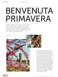 Weinwelt Interspar Flugblatt Seite 52