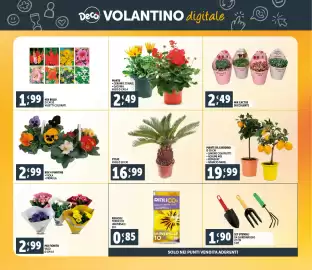 Volantino Deco Maxistore Pagina 33