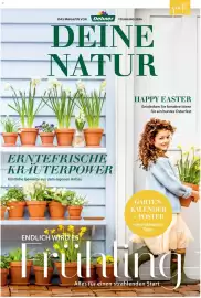 Dehner Flugblatt Seite 1