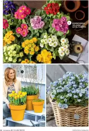 Dehner Flugblatt Seite 30