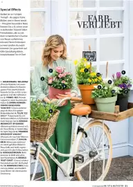 Dehner Flugblatt Seite 31