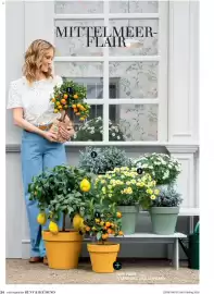 Dehner Flugblatt Seite 34