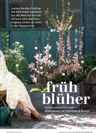 Dehner Flugblatt Seite 43