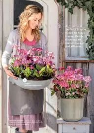 Dehner Flugblatt Seite 44