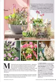 Dehner Flugblatt Seite 45