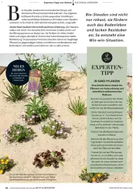 Dehner Flugblatt Seite 46