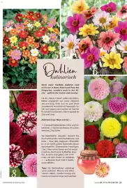 Dehner Flugblatt Seite 51