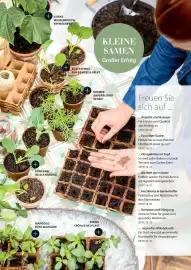 Dehner Flugblatt Seite 7