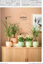 Dehner Flugblatt Seite 81