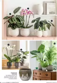 Dehner Flugblatt Seite 82