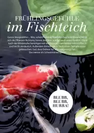 Dehner Flugblatt Seite 90