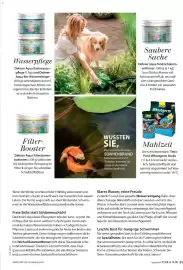 Dehner Flugblatt Seite 91