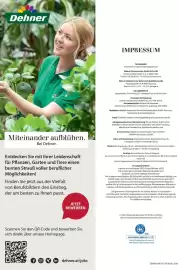 Dehner Flugblatt Seite 98