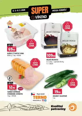 Terno leták (platné do 9-03)