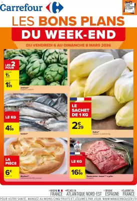 Catalogue Carrefour (valable jusqu'au 8-03)