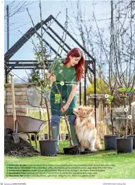 Dehner Prospekt Seite 10