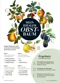 Dehner Prospekt Seite 11