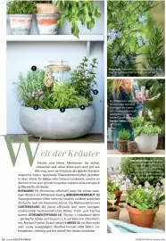 Dehner Prospekt Seite 14