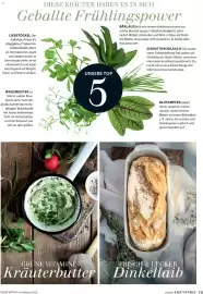 Dehner Prospekt Seite 15