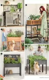 Dehner Prospekt Seite 18