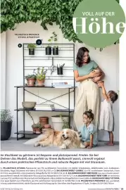 Dehner Prospekt Seite 19