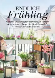 Dehner Prospekt Seite 28