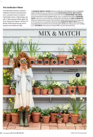 Dehner Prospekt Seite 32