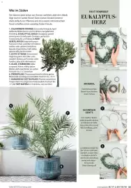 Dehner Prospekt Seite 35