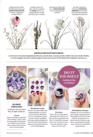 Dehner Prospekt Seite 37