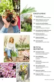 Dehner Prospekt Seite 4