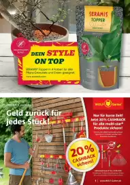 Dehner Prospekt Seite 40