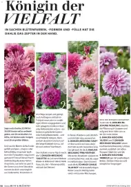 Dehner Prospekt Seite 50