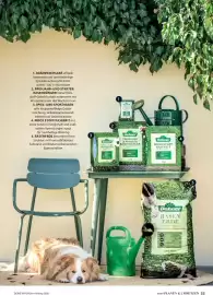 Dehner Prospekt Seite 53