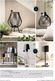 Dehner Prospekt Seite 75