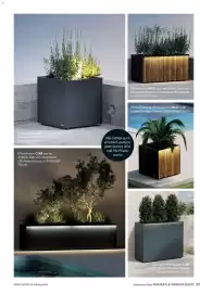 Dehner Prospekt Seite 77