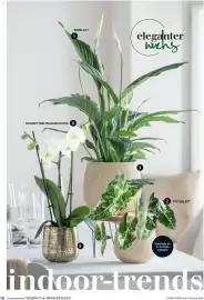 Dehner Prospekt Seite 78