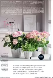 Dehner Prospekt Seite 79