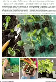 Dehner Prospekt Seite 8