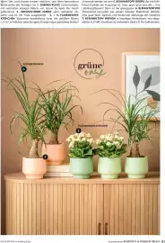 Dehner Prospekt Seite 81