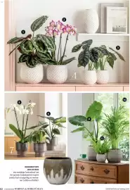 Dehner Prospekt Seite 82