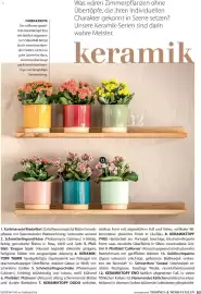 Dehner Prospekt Seite 83