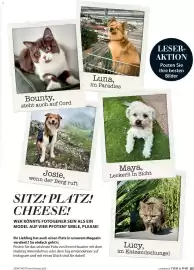 Dehner Prospekt Seite 85