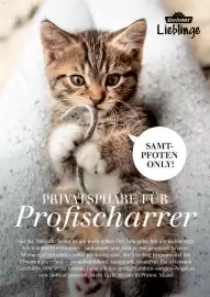 Dehner Prospekt Seite 87