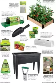 Dehner Prospekt Seite 9