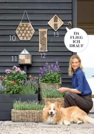 Dehner Prospekt Seite 95